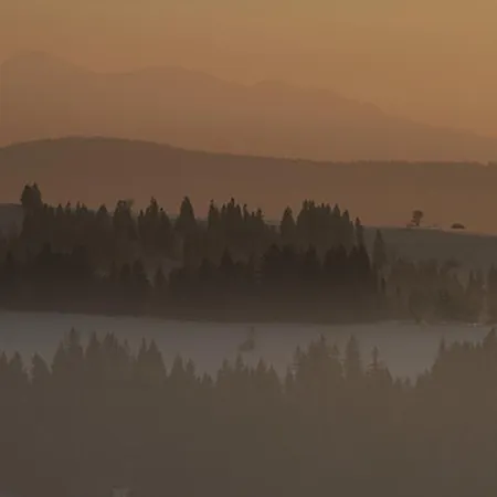 Miętowa Górka * Ząb