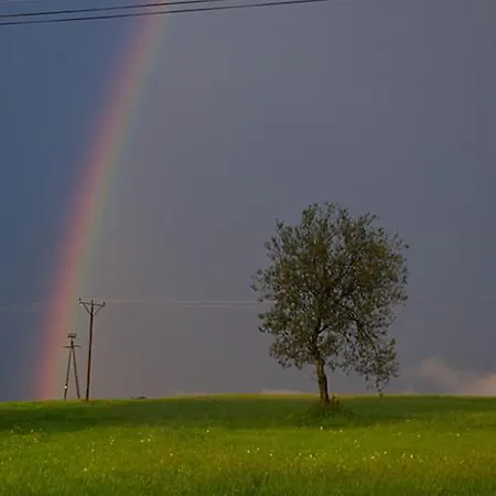 Miętowa Górka Domek alpejski
